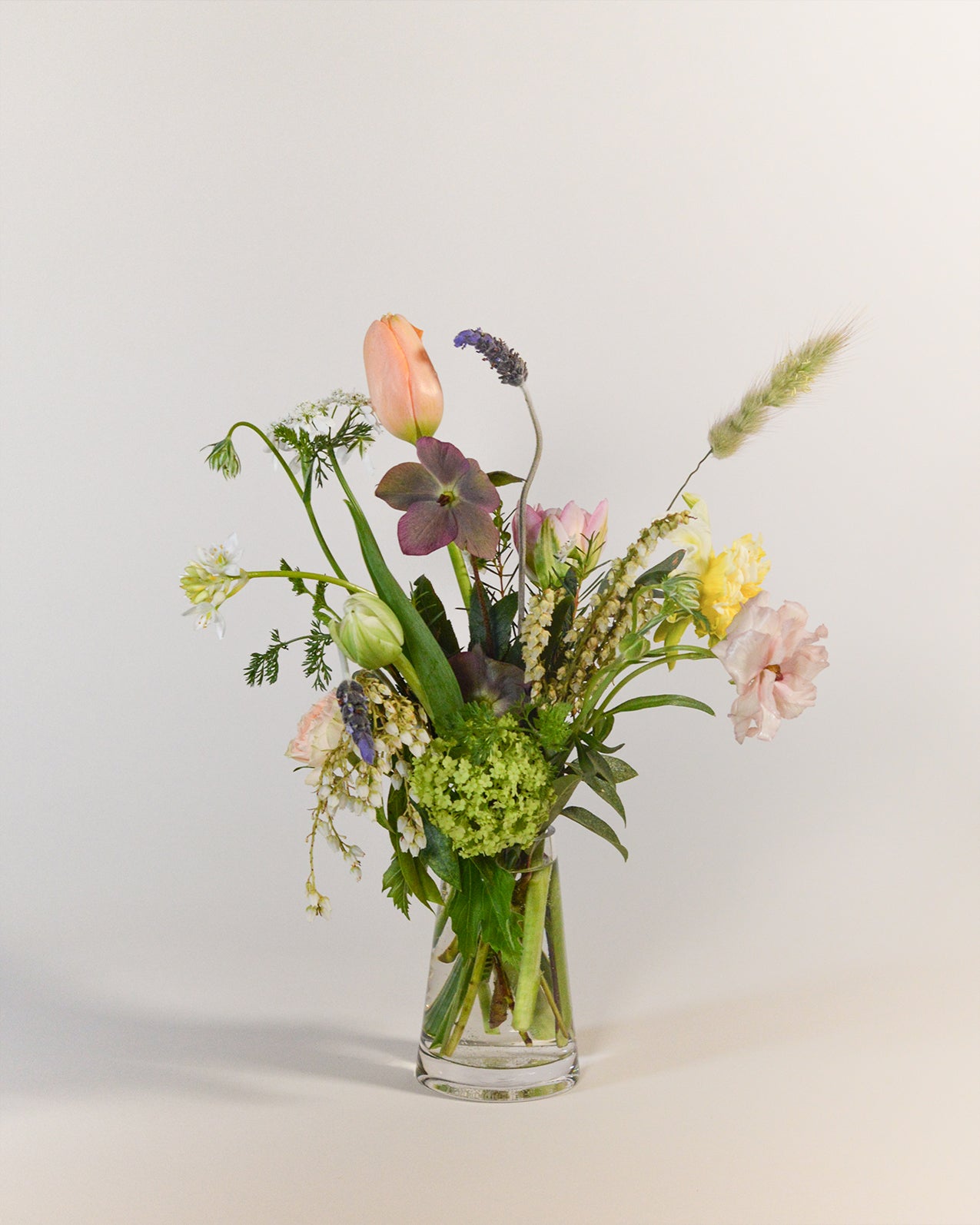 Celebrations Flowers
