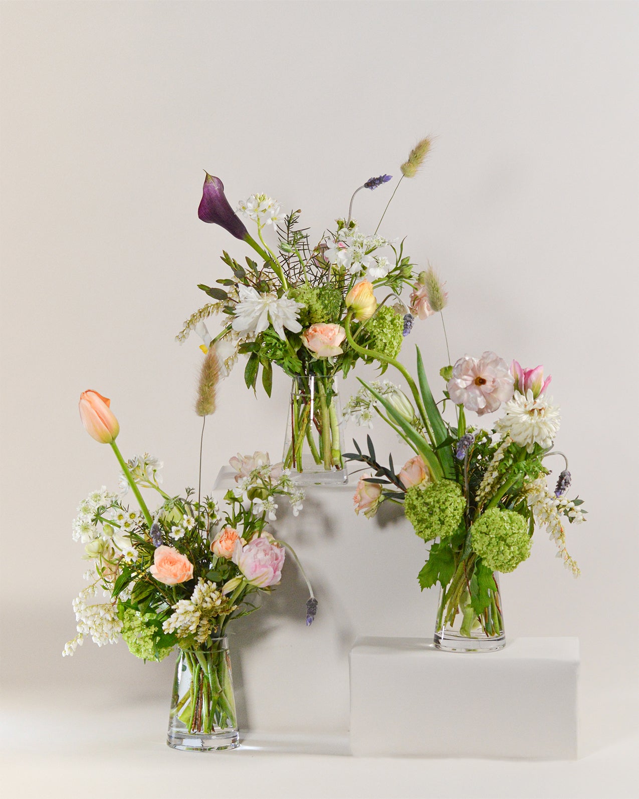 Celebrations Flowers