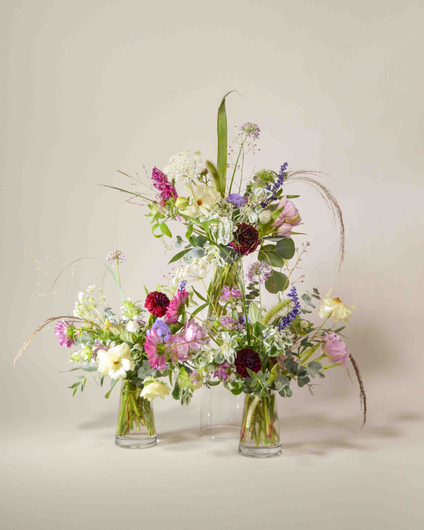 Celebrations Flowers