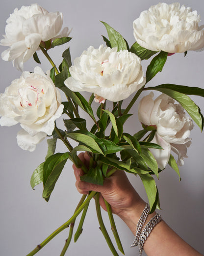 Peony bunch