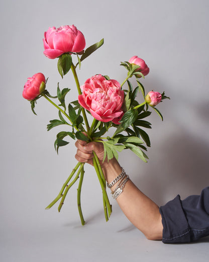 Peony bunch