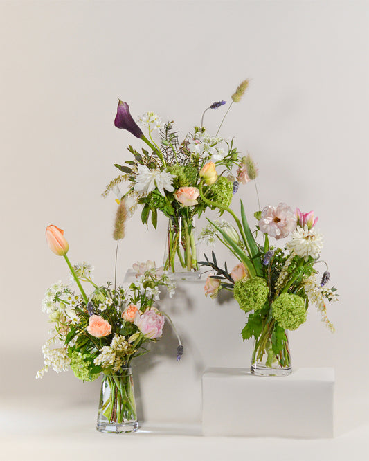 Celebrations Flower Set